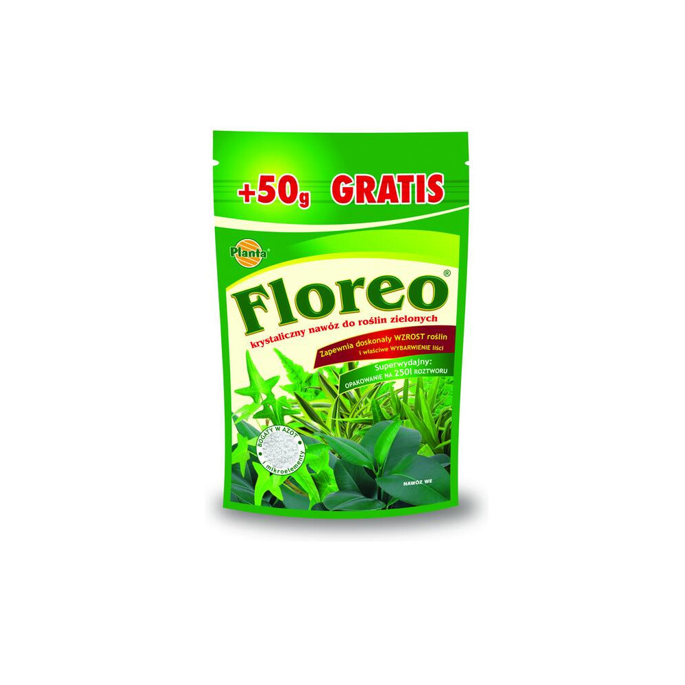 PLANTA NAWÓZ FLOREO 250g do zielonych