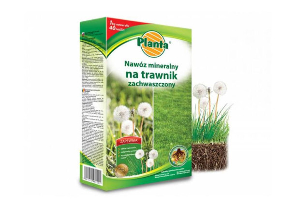 PLANTA Nawóz 1kg na trawnik zachwaszczony /5 //NOWOŚĆ//