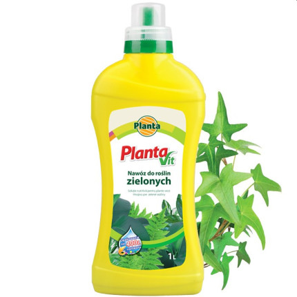 PLANTA Nawóz Vit-2 ROŚLINY ZIELONE 1000ml //6