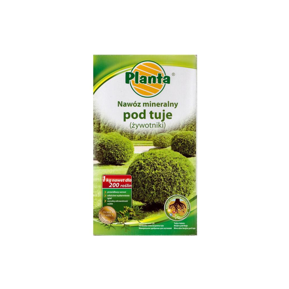 PLANTA Nawóz 1kg pod tuje (żywotniki)