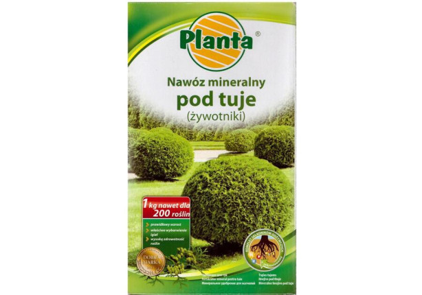 PLANTA Nawóz 1kg pod tuje (żywotniki)