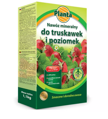 PLANTA Nawóz 1kg do truskawek i poziomek /5 PROMO +100g GRATIS