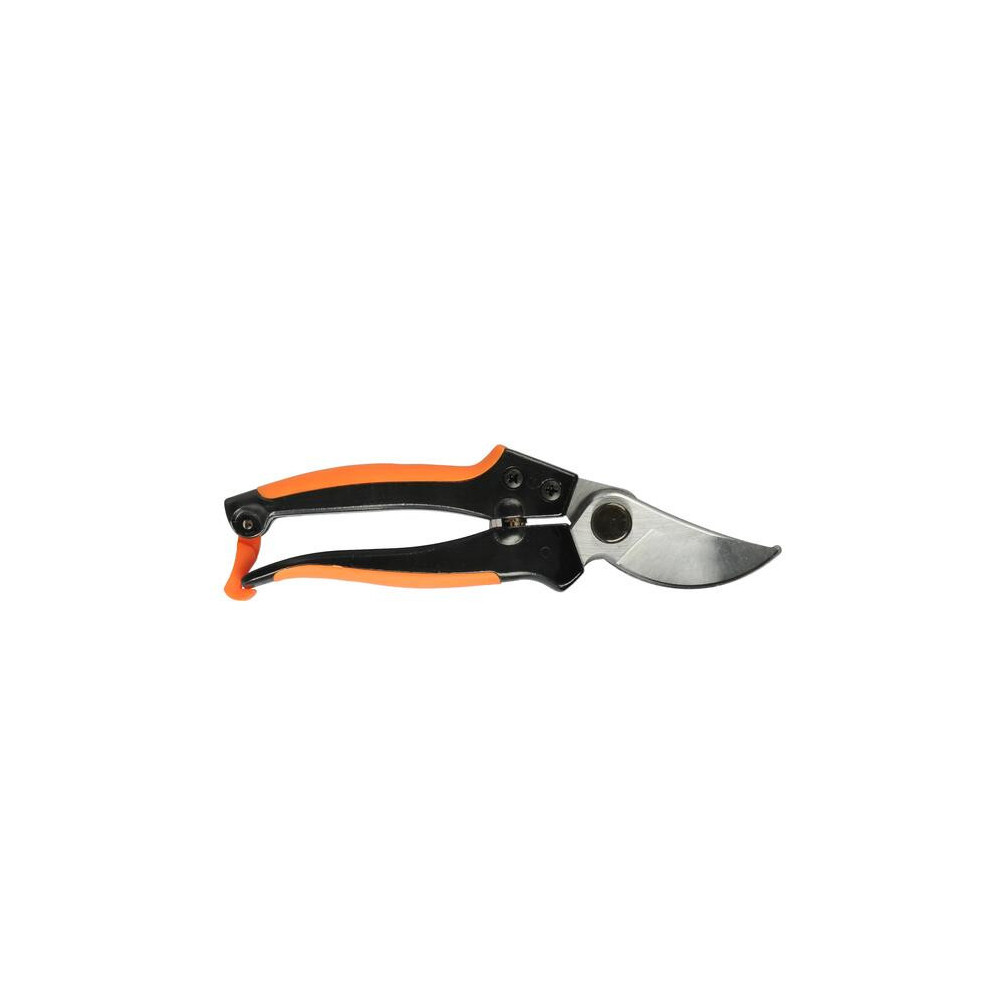 GALICJA SEKATOR OGRODOWY 20cm 0096