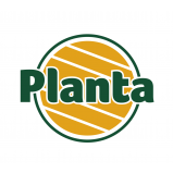 Planta